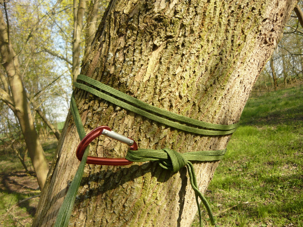 Hammock with long webbing wraped around tree and secured by a carabinder 