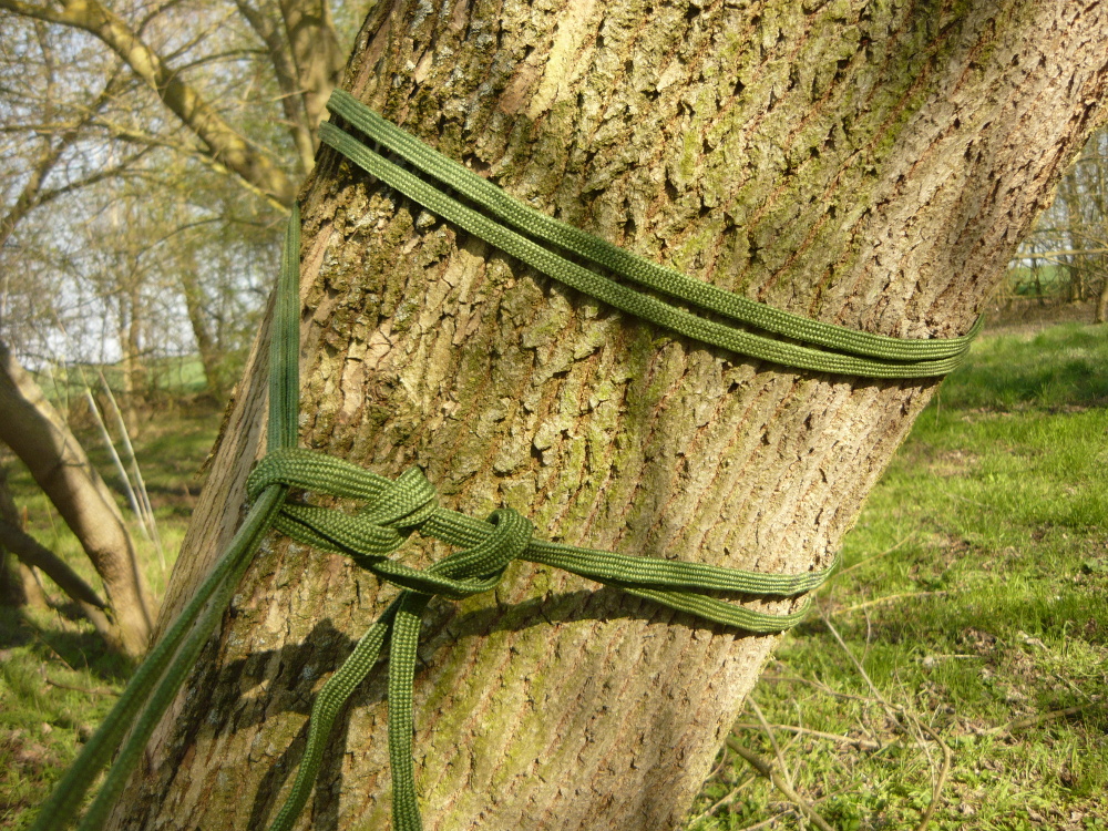 Wrap the hammock webbing around the tree at least once and than put it around the webbing again and secure it with two half hitches